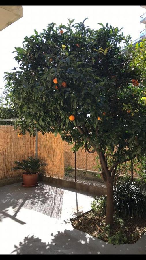 Grande Bilocale Con Giardino E Posto Auto Privato Comodo Al Mare Varazze Exterior foto